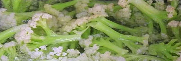 焯煮、油炸設(shè)備